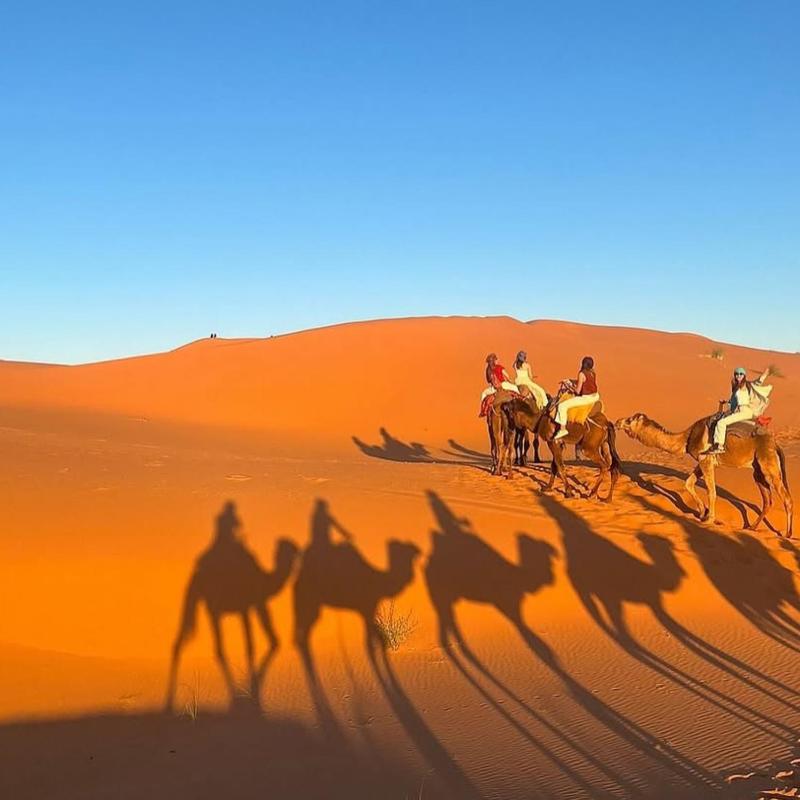 Bikhir Luxury Camp - image 9