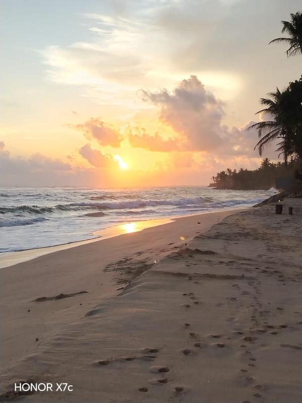 The Curry Lodge - Thimbiriya - image 15