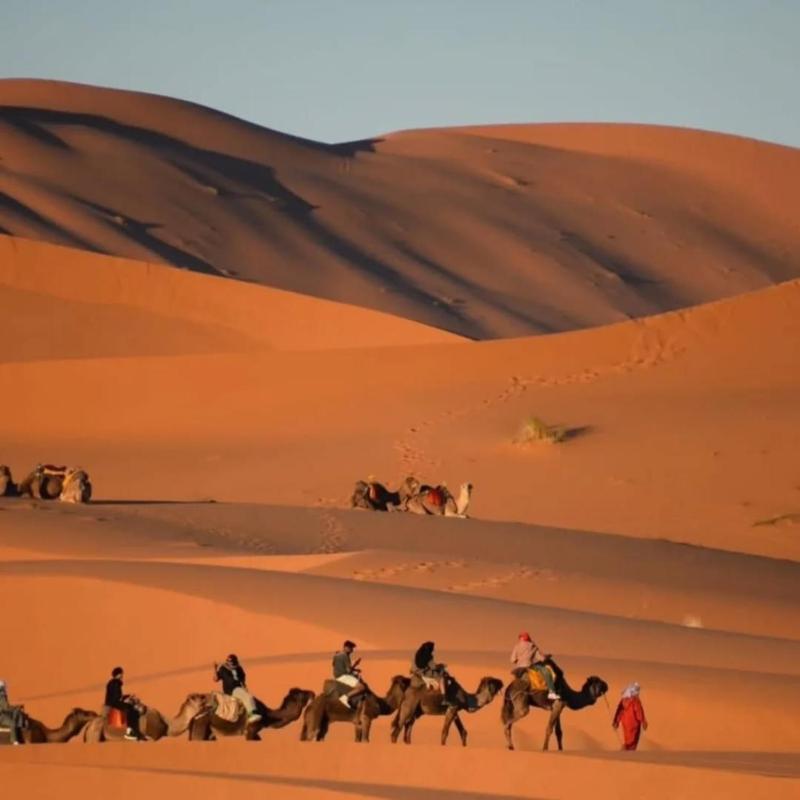 Bikhir Luxury Camp - image 19