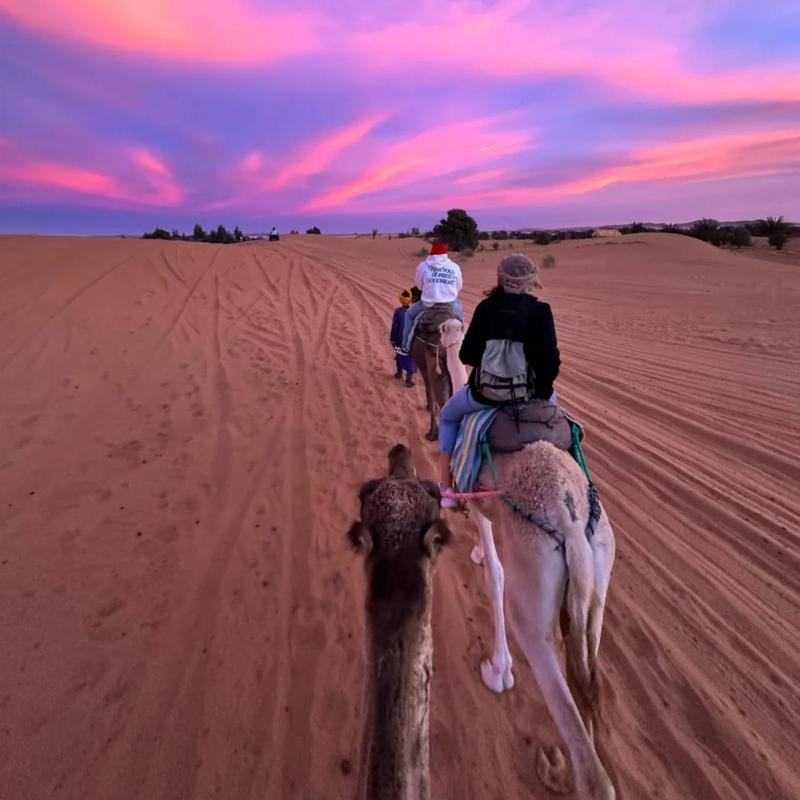 Bikhir Luxury Camp - image 32