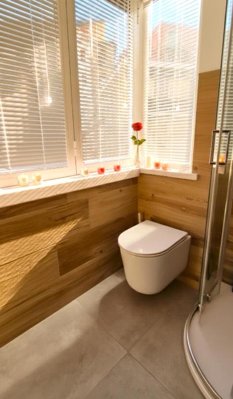 Attic Apartment Air Conditioning Fast WiFi - image 20