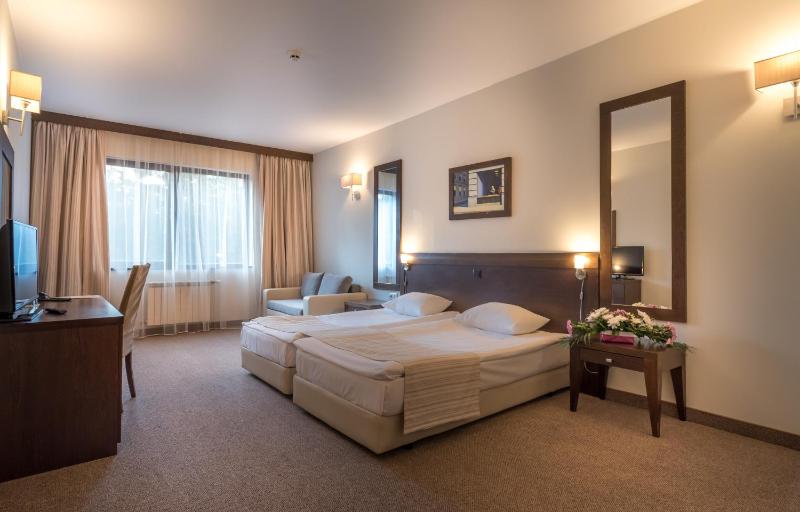 Twin Room with Free Spa Access image 1
