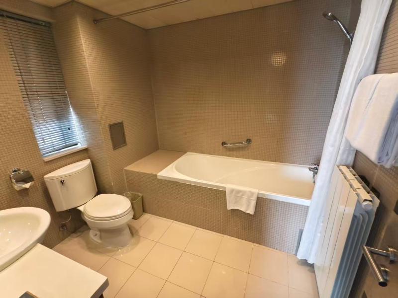 Shiqiao International Trade Serviced Apartment - image 4
