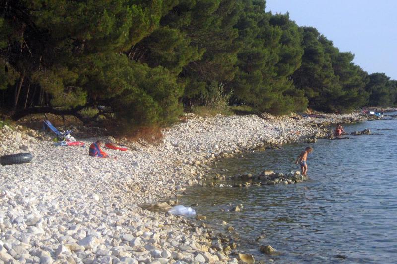 Family friendly house with a swimming pool Barbariga Fazana - 22763 - image 4