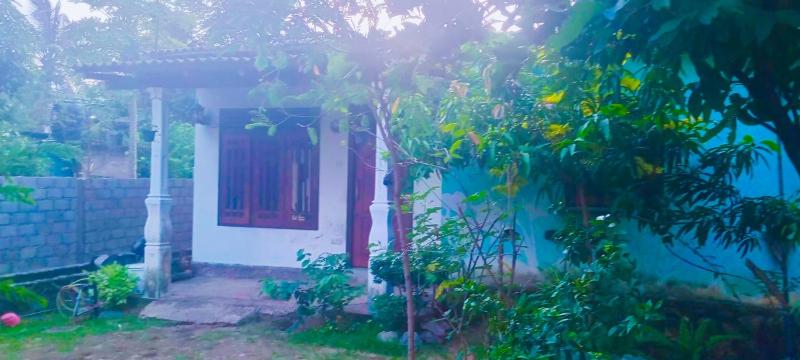 Nathaliya Home Stay - image 32