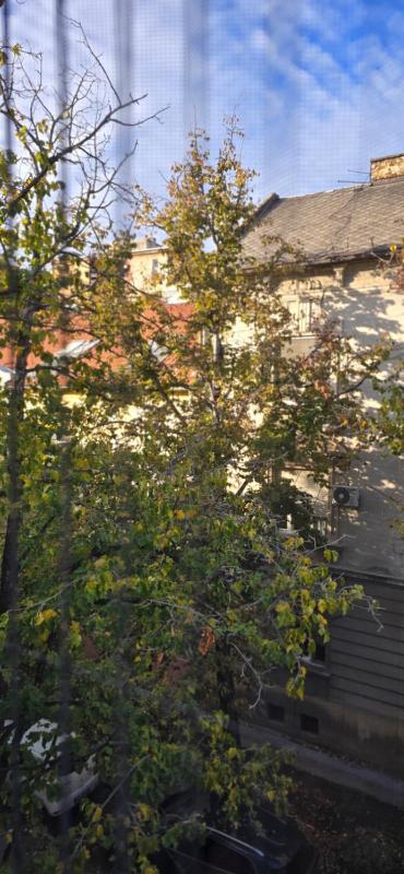 Leaf & Loft - image 10