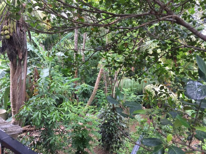 Nature Villa Harumalgoda - image 6
