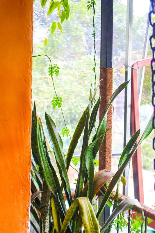 Secret View Homestay Ella - image 47