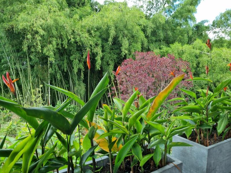 Hotel campestre La Floresta - image 12