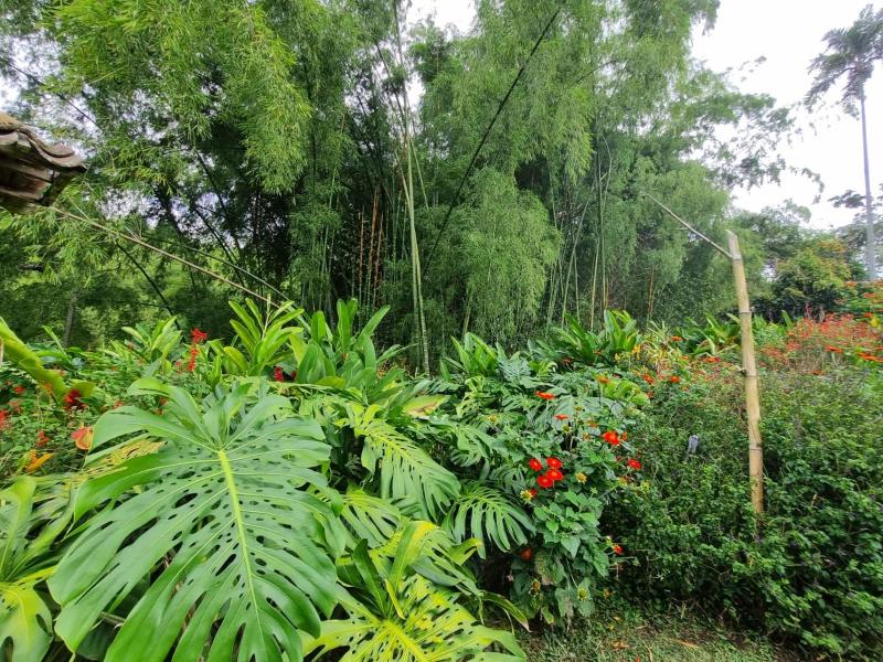 Hotel campestre La Floresta - image 8