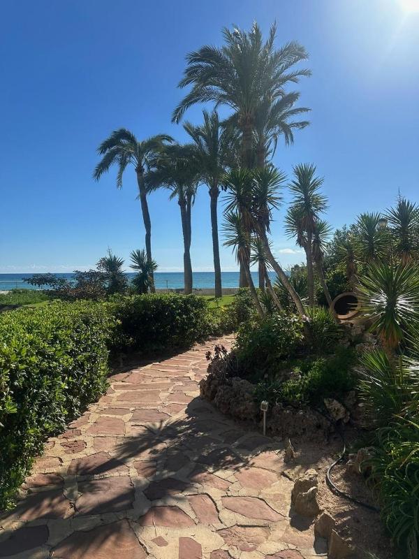 Altea Soleil - image 12