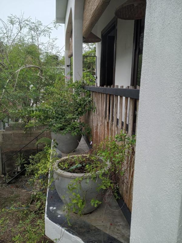 Home Six Zero Guest - image 23