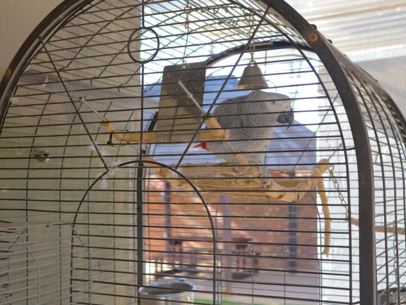 Andela Guesthouse - image 3