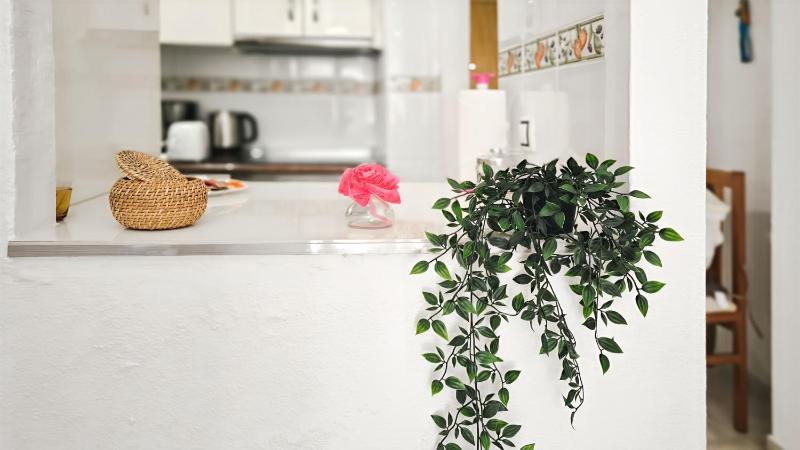 Torrevieja City Apartment - image 16