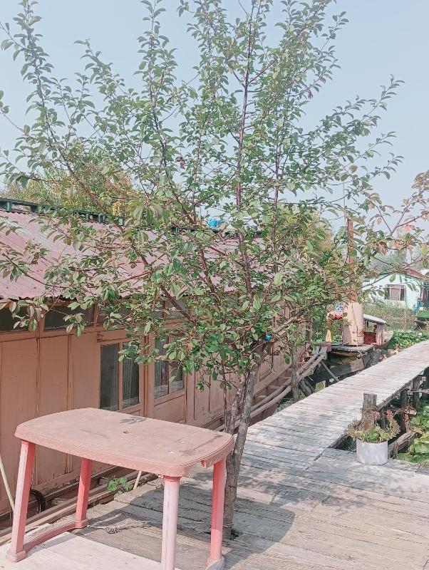 Holiday Home - image 9