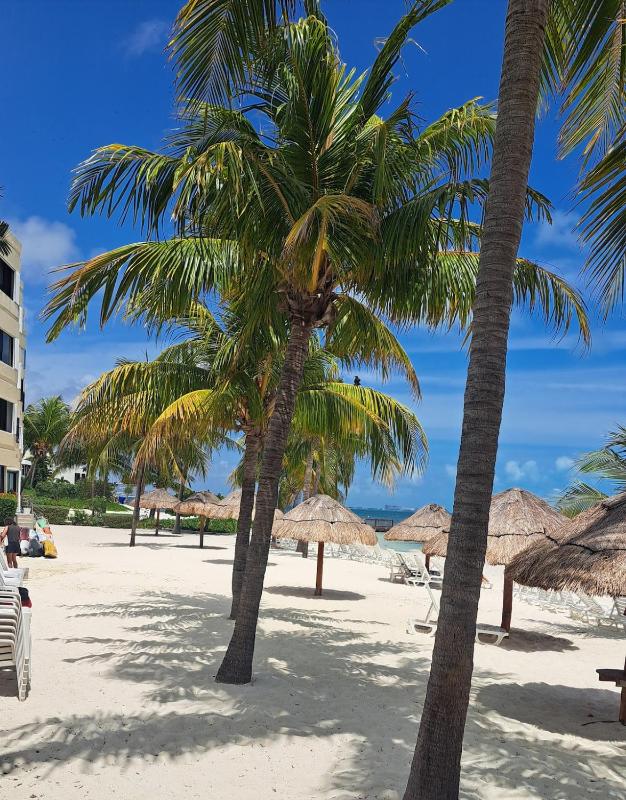 beach front 218 - Cancun - image 7