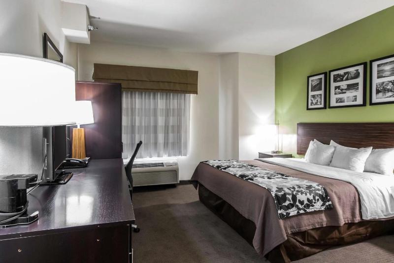 King Suite - Non-Smoking image 4