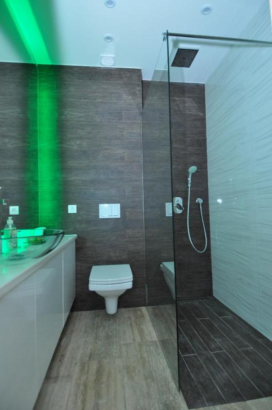 One-Bedroom Apartment image 4