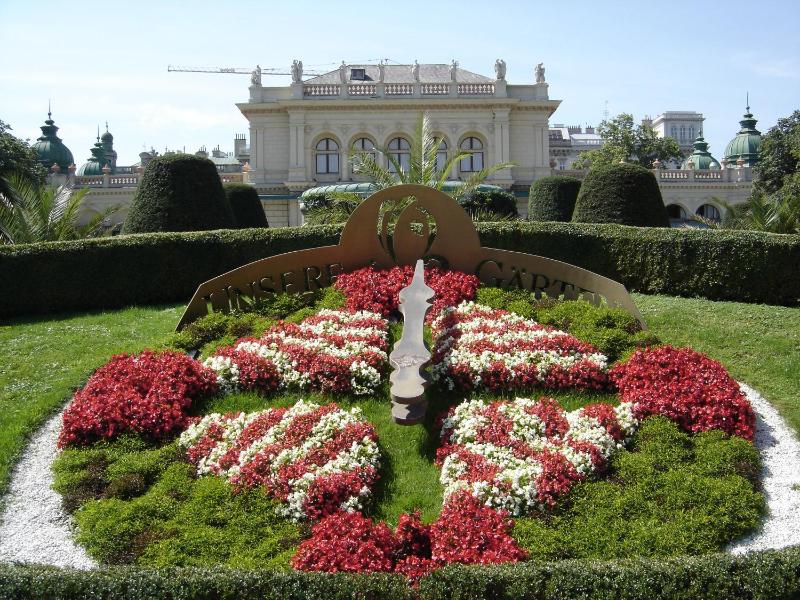 One-Bedroom Apartment image 3