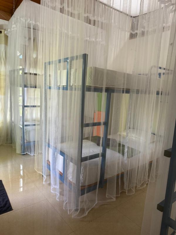 Hive Ella - Hostel - image 8