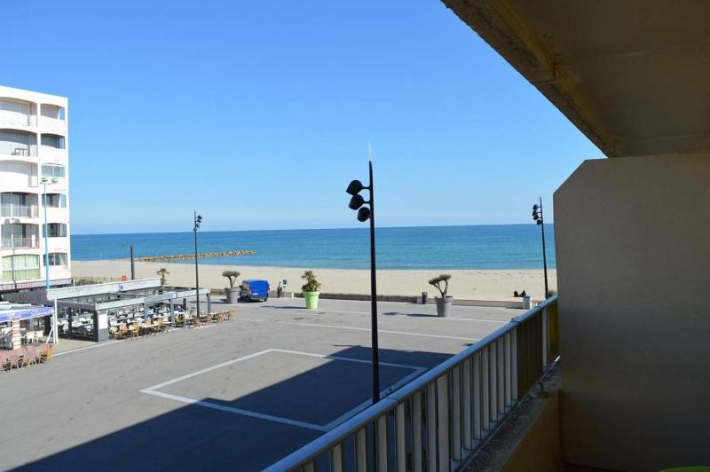 Studio bien placé avec terrasse en face de mer ST CYPRIEN PLAGE sc220-009 - image 9