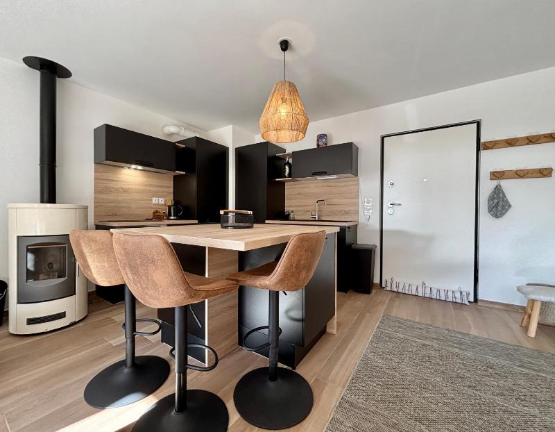 Duplex Alpin à Châtel - Proche du centre - image 21