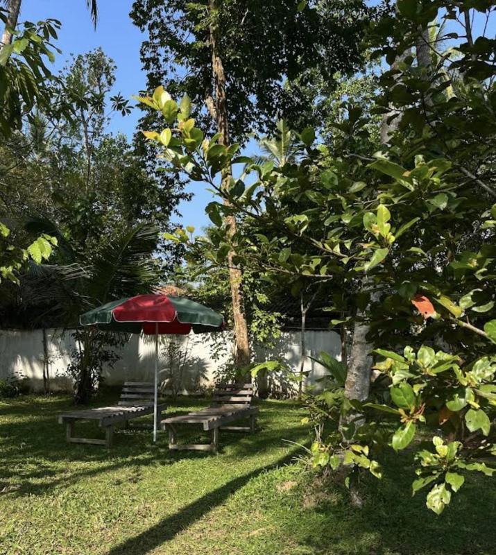 Villa Claudia Nimal's kitchen - image 7