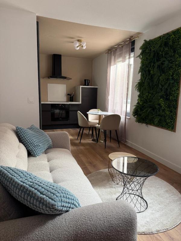Appartement cosy centre ville - image 6