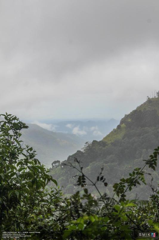 New Ella Nature View - image 17