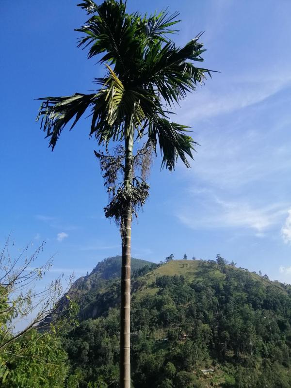 Super View Home Stay - image 9
