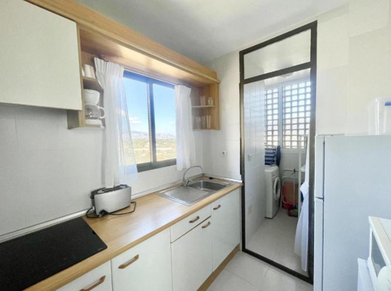 Paraiso 10 Blueline - image 6