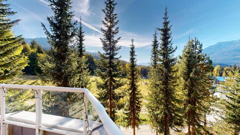 Aspens by WB Vacation Rentals - image 47