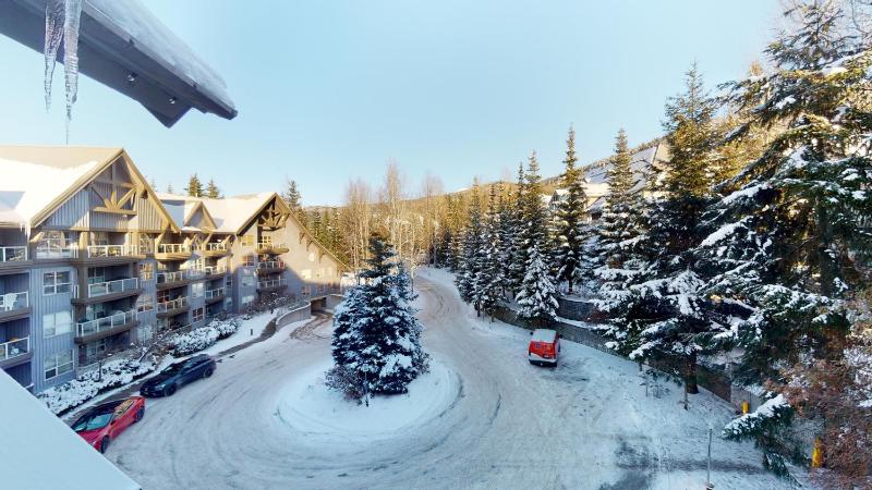 Aspens by WB Vacation Rentals - image 10