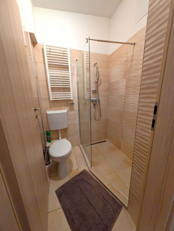 Apartment in Siofok - Balaton 53602 - image 8