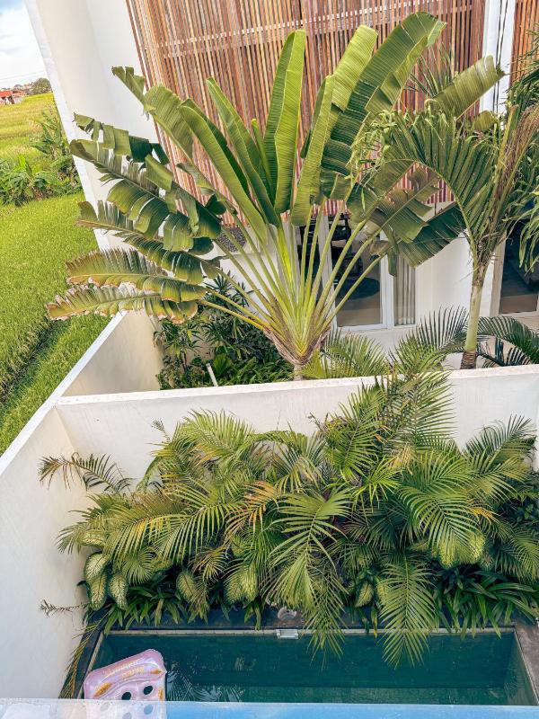 Villa Marina - image 5