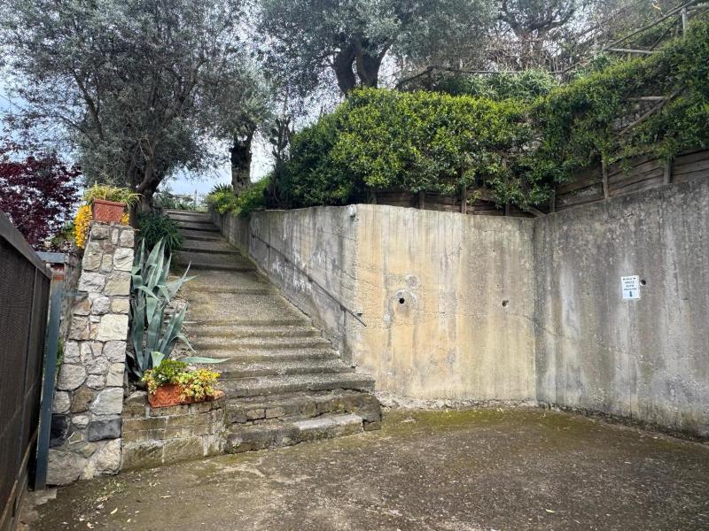 Il sogno di zia Ada - image 16