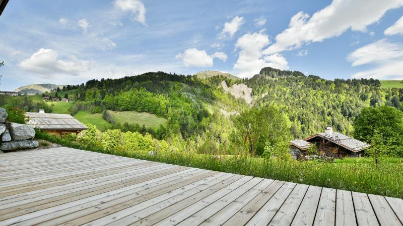 Chalet Le Gypaete - image 15