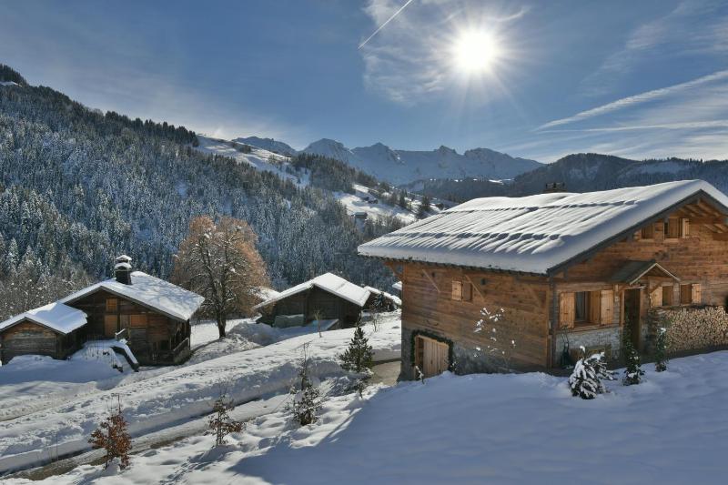 Chalet Le Gypaete - image 19