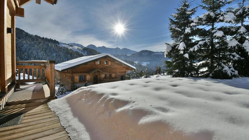 Chalet Le Gypaete - image 11