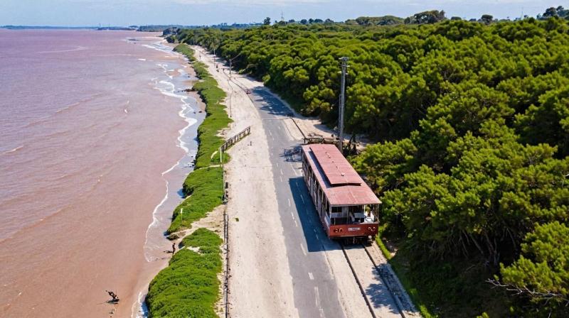 Palmar Apartments – Excellent Location by SOHO - image 23