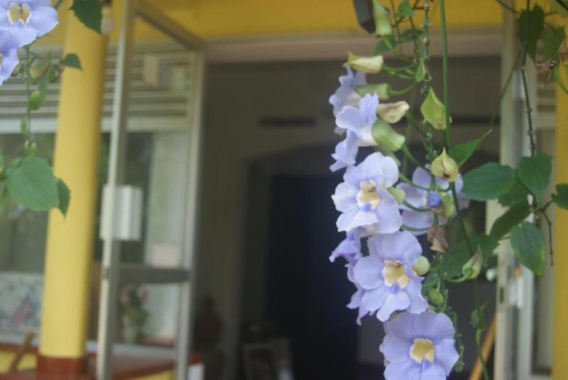 Ananda Home Stay and Restaurant - image 34