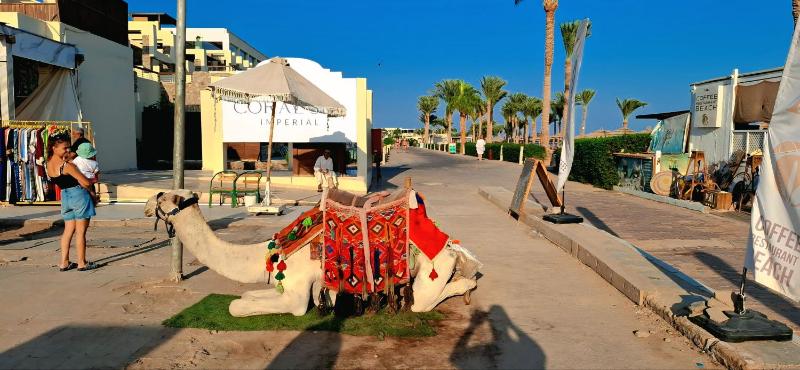 Sharm Hills Resort - image 34
