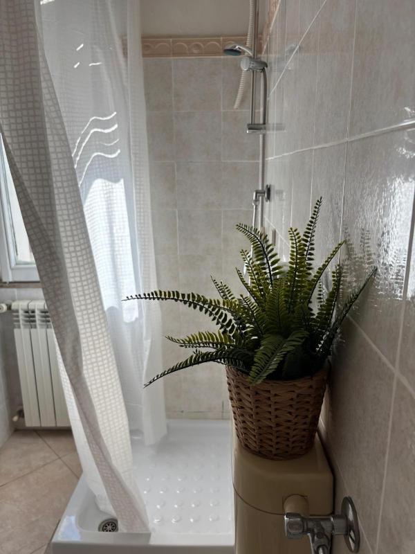 B&B Altea - image 11
