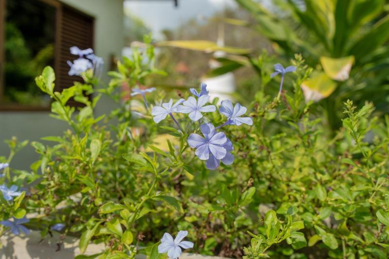 701 Mawella Villa - image 15