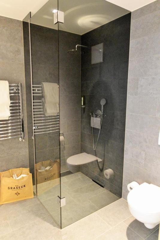 Room with Terrace image 3