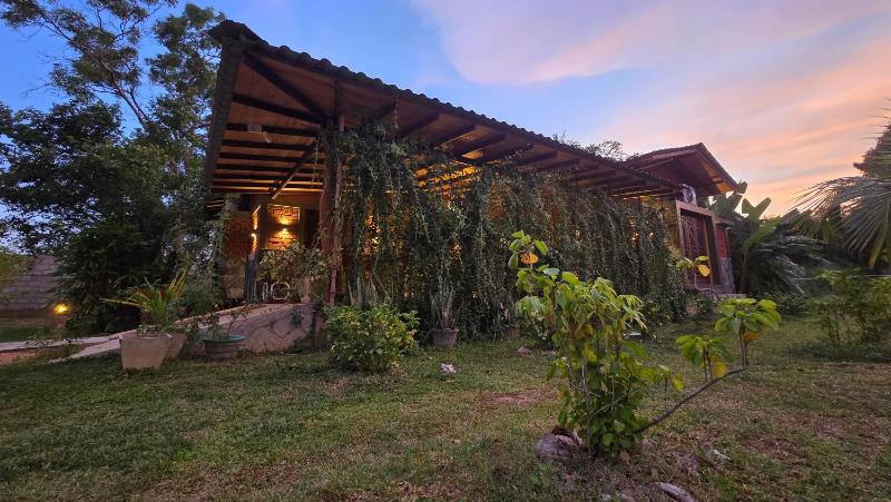 Ceylon wilpattu safaris & lodging - image 6