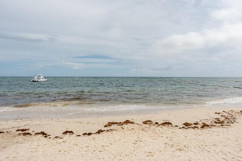Beautiful 2 bedroom apartment on the beach - image 34
