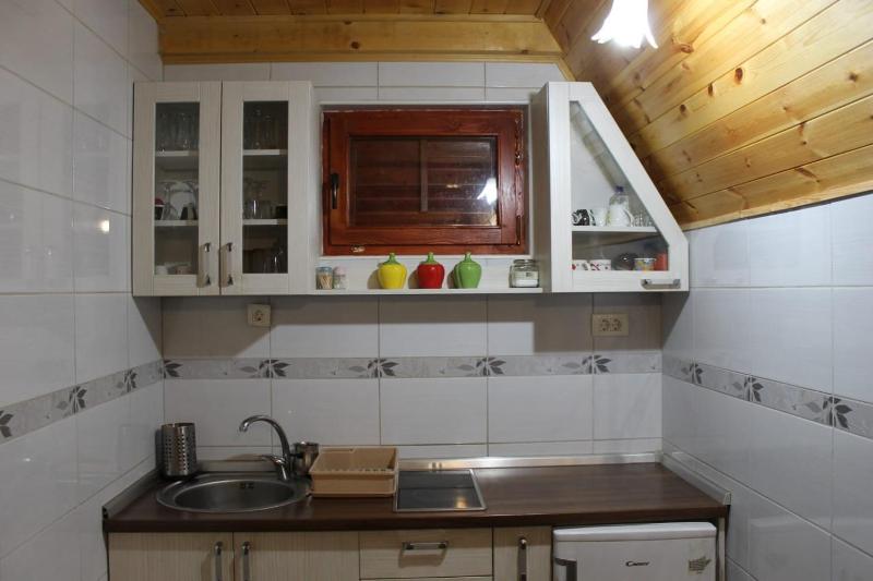 ZlatniBor House Zlatibor - image 16