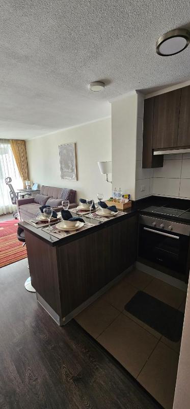 Departamento Central Viña del Mar Parque Marina - image 12