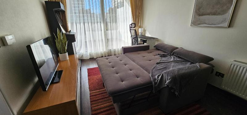 Departamento Central Viña del Mar Parque Marina - image 11